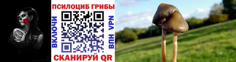 ссылка на мегу онион  Туймазы  Галлюциногенные грибы Magic Shrooms  цены  