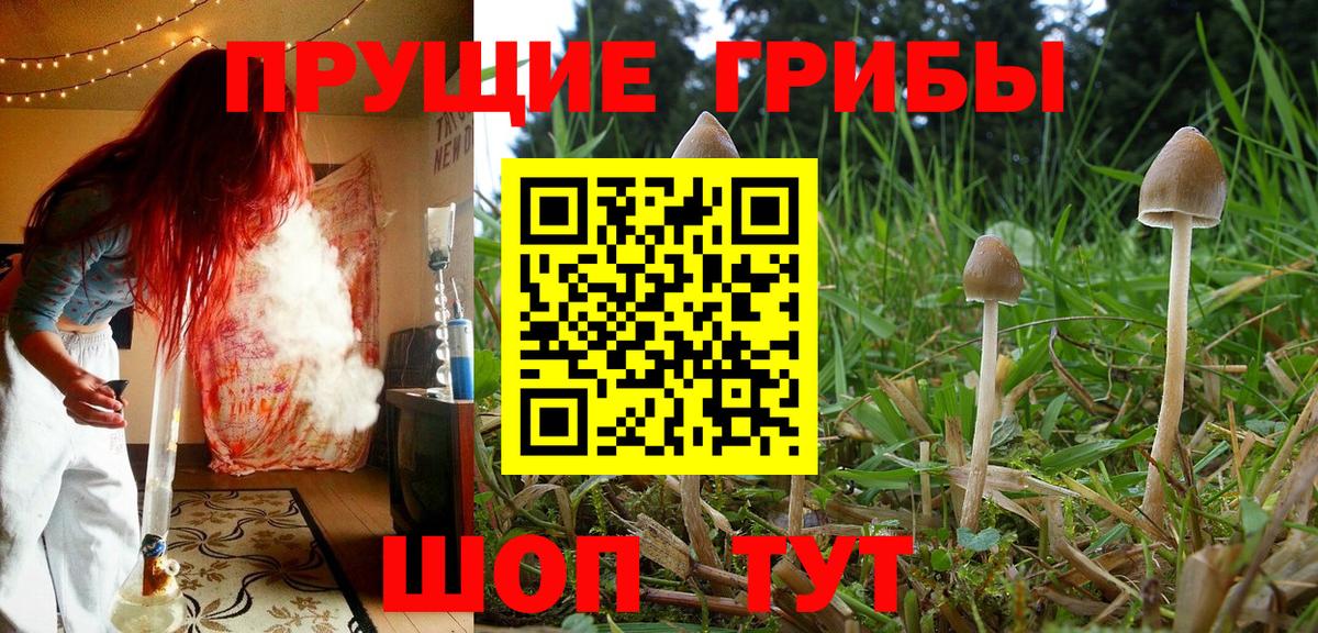 Псилоцибиновые грибы мухоморы  Галлюциногенные грибы прущие грибы  Туймазы 