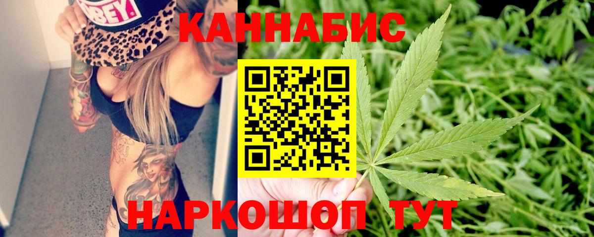 Бошки Шишки гибрид Туймазы